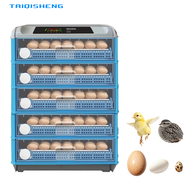 Automatic Intelligent 500 Egg  - огляд і ціна Power Supply 12V